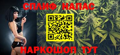 apvp Камень-на-Оби