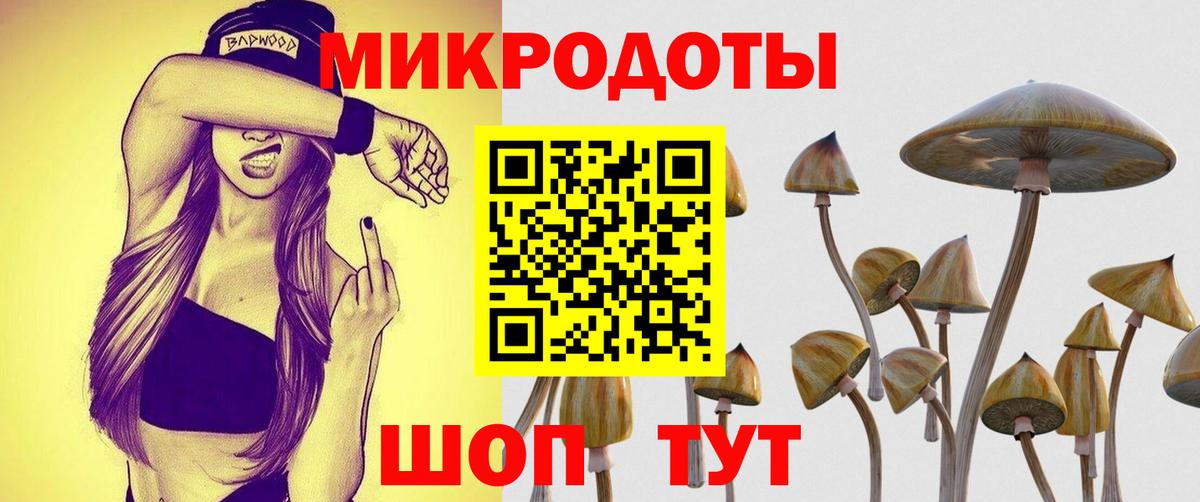 Псилоцибиновые грибы Psilocybe  Вход с VPN  Галлюциногенные грибы прущие грибы  Октябрьский 